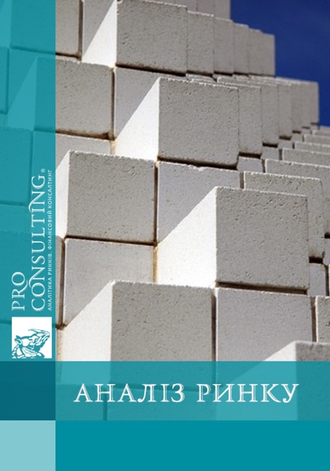 Паспорт ринку газобетону у Словаччині. 2023 рік